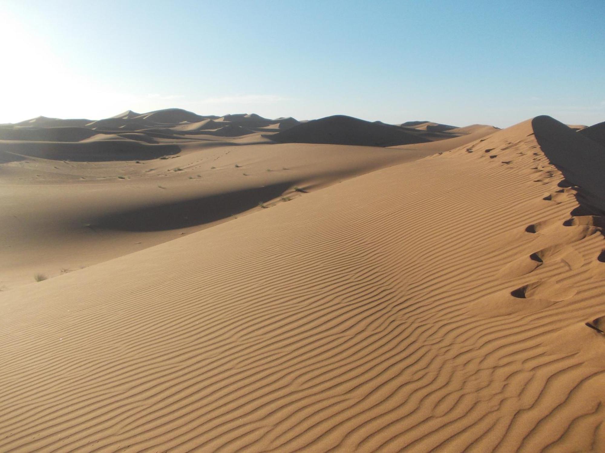 Bivouac Draa Hotel Zagora Buitenkant foto